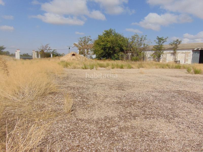 Foto 36e834be-b7d9-4f13-ab72-0a1cae92e3a6. Landgut in Tomelloso