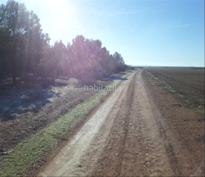 Foto 41a4bb63-d37c-4015-9f46-73b7e166418a. Landgut in Tomelloso