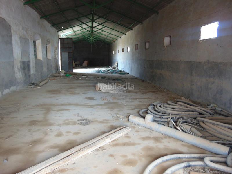 Foto 4941031d-3090-4f16-8d76-f9b20663c1f8. Landgut in Tomelloso