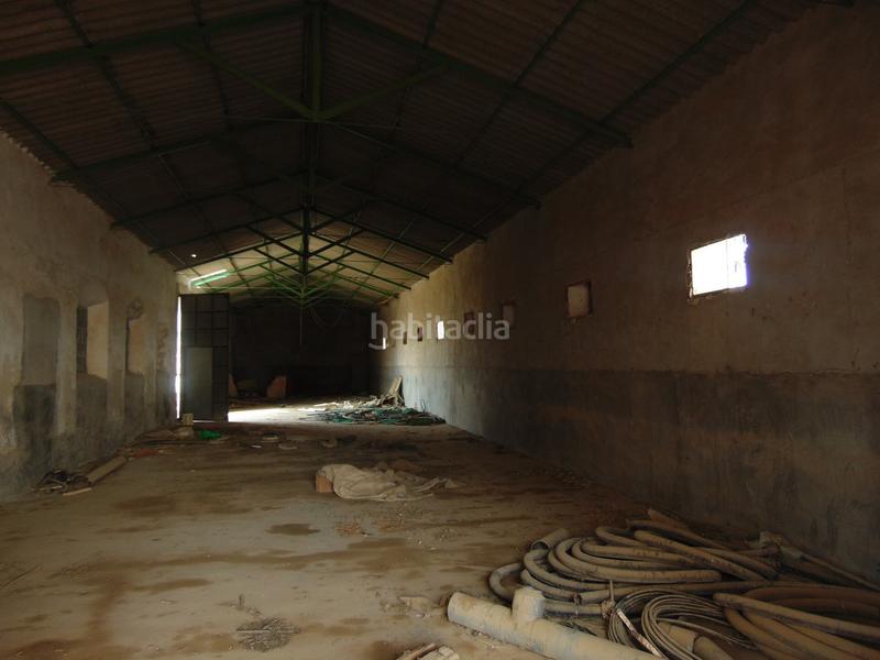 Foto 557599f6-6b23-4724-82b9-fecf95f5e004. Landgut in Tomelloso