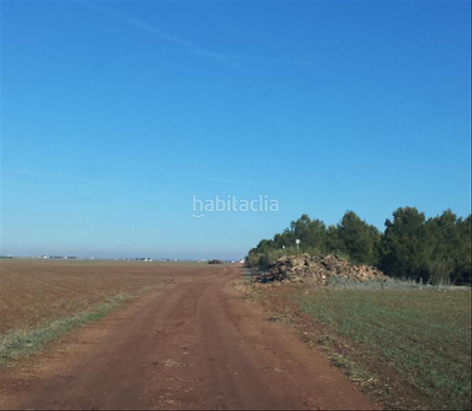 Foto 5ef70048-c32d-4626-ad38-a32f8e60ff17. Landgut in Tomelloso