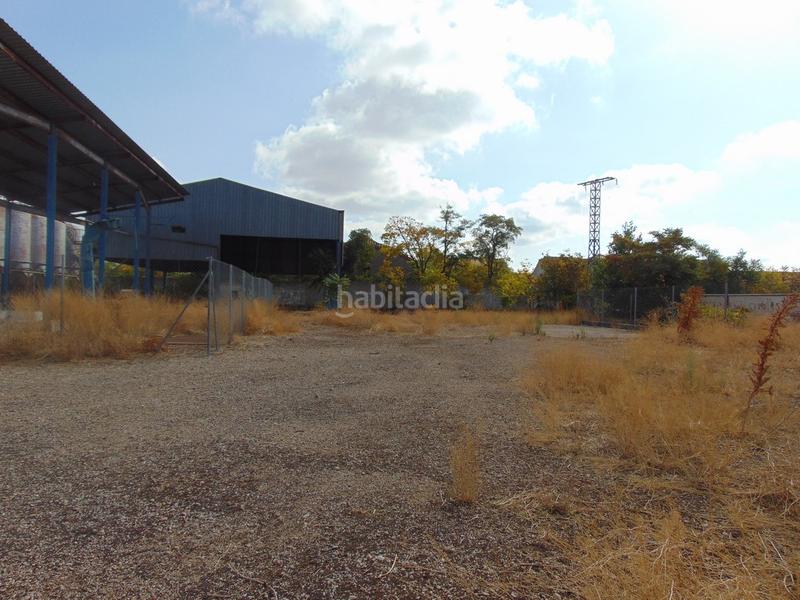 Foto 6dd15dbc-e68b-4328-bba2-fe6dd770fb9c. Landgut in Tomelloso