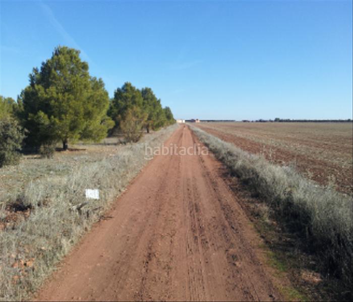 Foto a5a0bcbf-18e5-4bec-8a90-7d8c8f4f0f1b. Landgut in Tomelloso