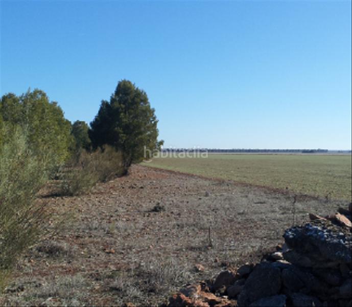 Foto bc6ca2e8-4071-4500-a125-4f6964bca20b. Landgut in Tomelloso