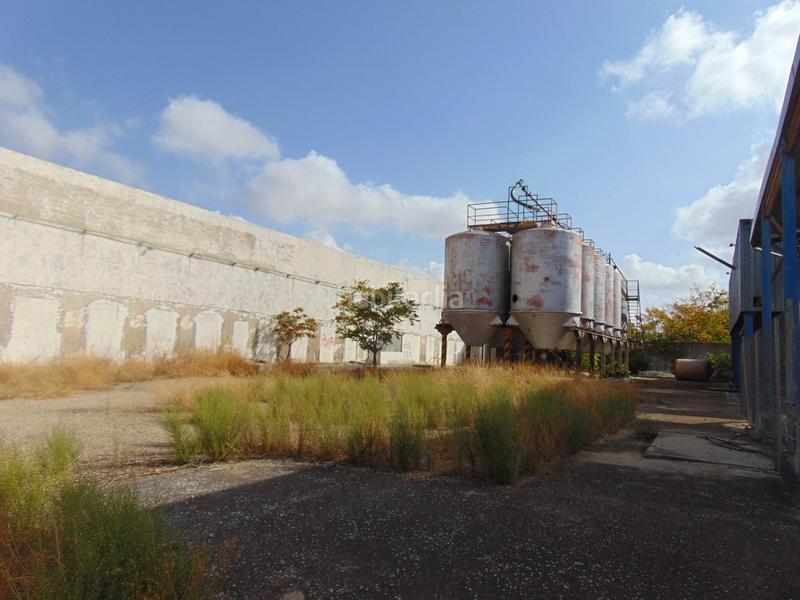 Foto c1783a22-0bb8-4572-bcd5-bb6c541154d6. Landgut in Tomelloso