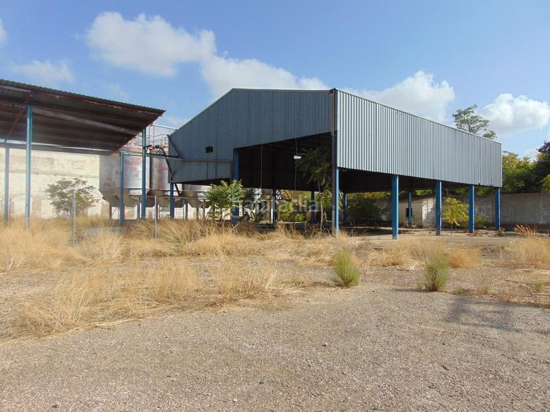 Foto ee642e4c-69a4-4770-9cb3-9fd7ed477b69. Landgut in Tomelloso