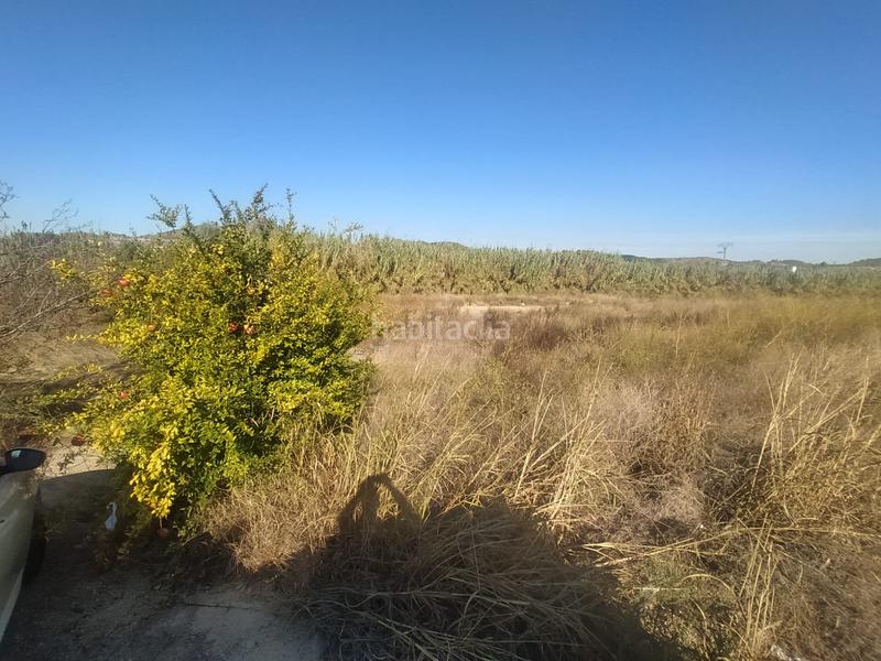 Foto 4da5d300-1e34-4b11-a397-a4f7677ad076. Finca rústica a Xàtiva