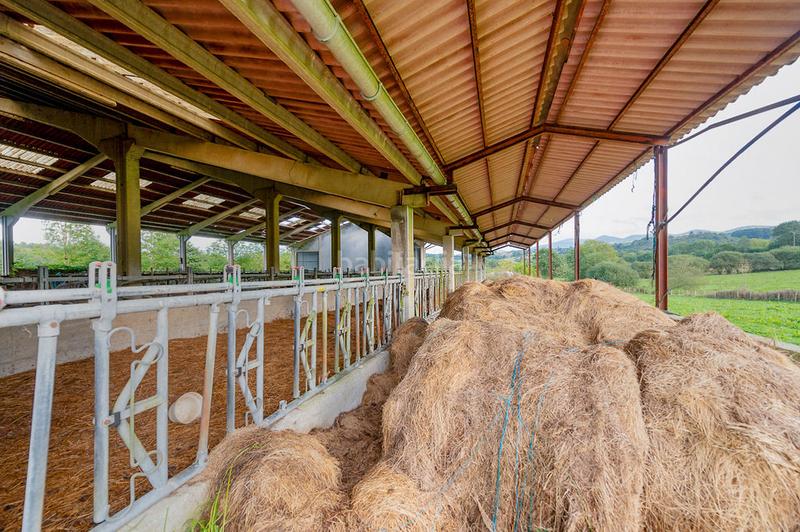 Foto 002917fd-7a08-4bec-8399-4f15ed5eeee8. Nau industrial a Larraun