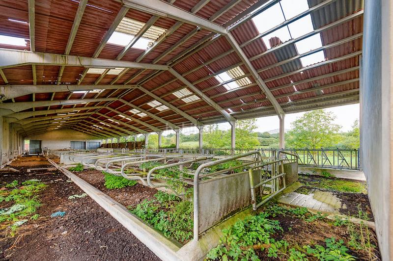 Foto 25dfbb3a-4463-42ba-bb38-c7328dbb9f12. Nau industrial a Larraun