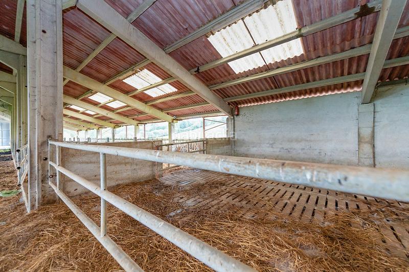 Foto 457cc7e6-1af2-41d8-acf4-9abb07880183. Nau industrial a Larraun