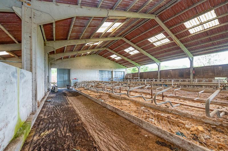 Foto 97a7ec27-f27c-49e5-8b10-973471b4aa89. Nau industrial a Larraun