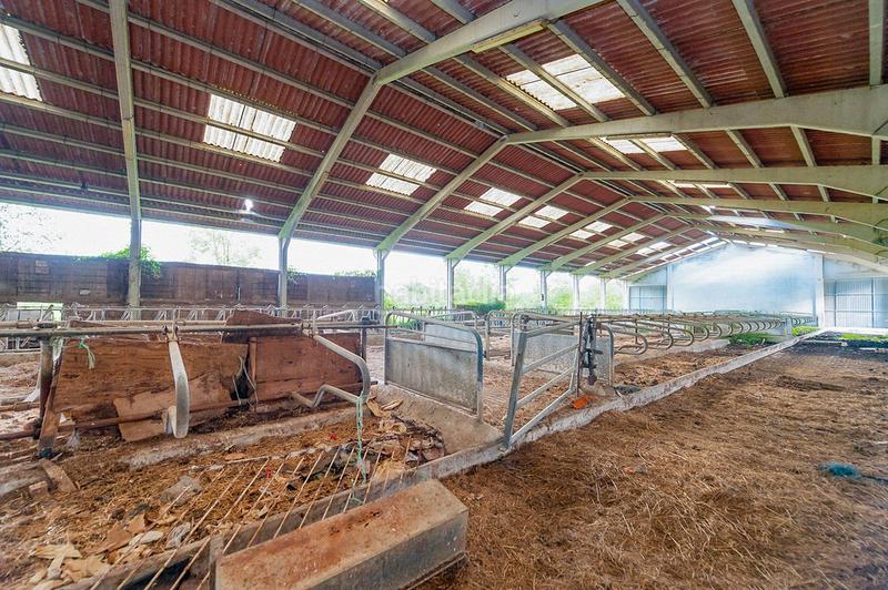 Foto 98ae32bc-d431-42a0-bbd2-1abfeeaa8f07. Nau industrial a Larraun