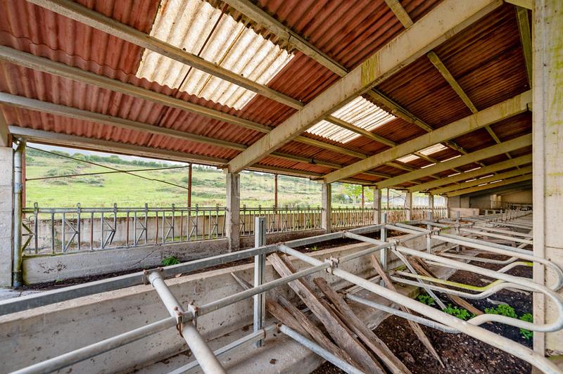 Foto d7e8028e-acd3-4d8a-b71e-e1bd70b76372. Nau industrial a Larraun