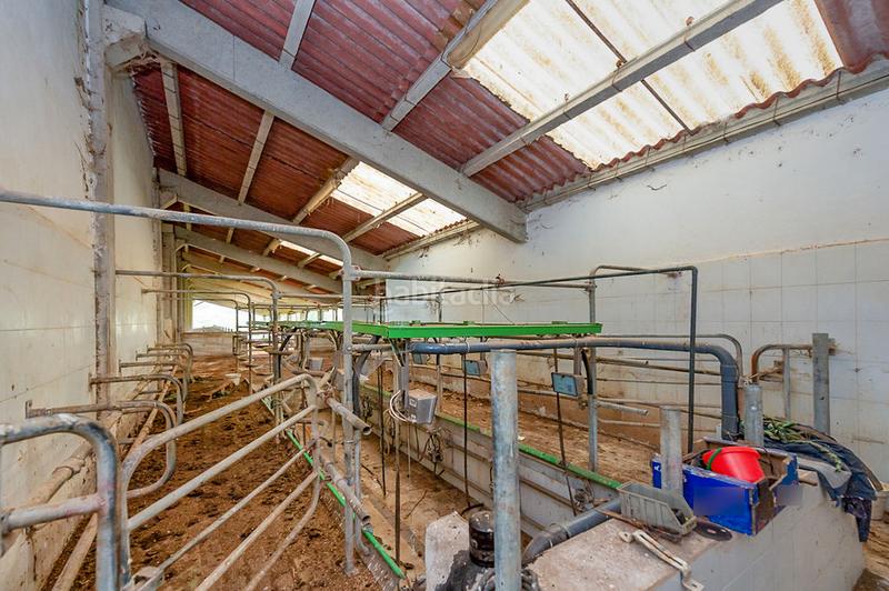 Foto de66df29-4d67-434b-bdd6-c9c51e939115. Nau industrial a Larraun