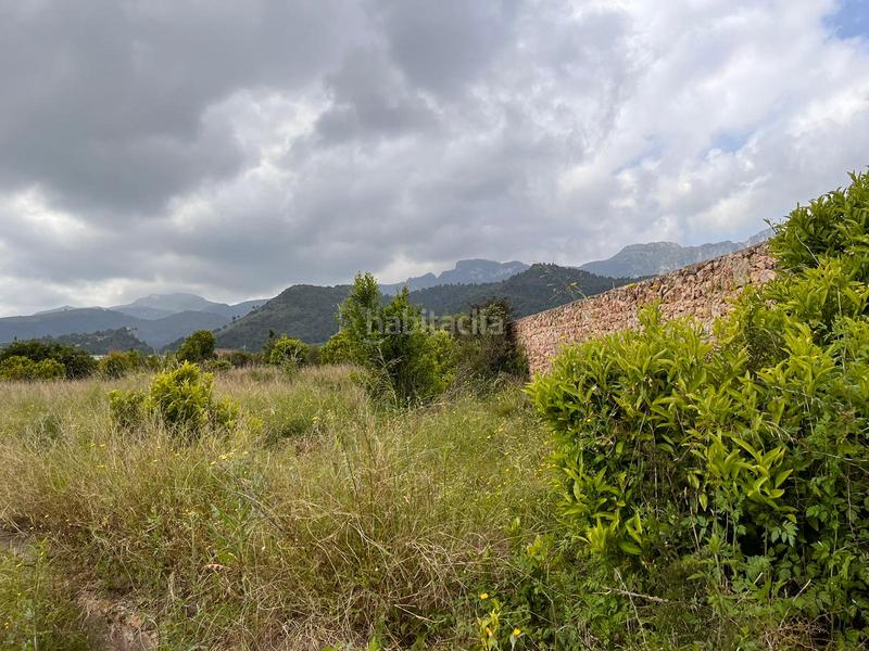 Foto 7a1da638-9535-4fd8-ab51-d77418e4b24a. Finca rústica solvia inmobiliaria suelo urbano no consolidado en Llaurí