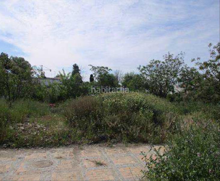 Foto 69469f3d-da8d-48e1-892f-a30a8b139ac3. Finca rústica a Écija