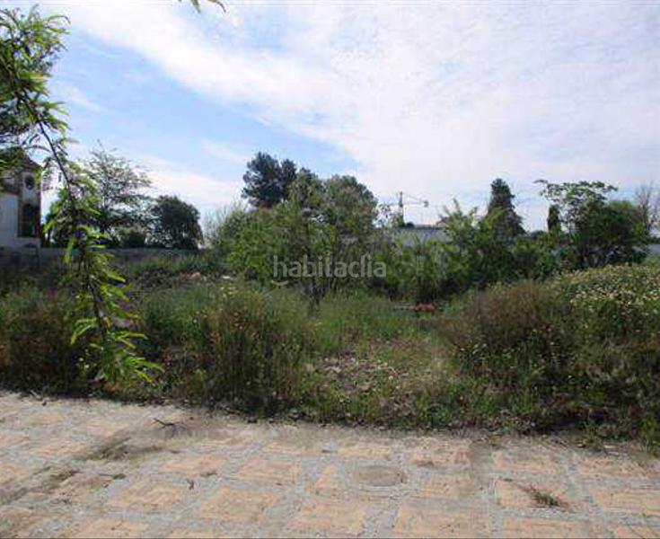 Foto 91551267-5c4d-4ac1-a037-33c7f64e42e3. Finca rústica a Écija