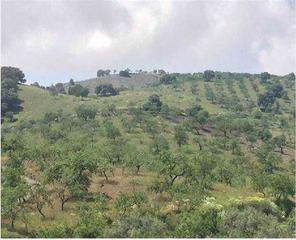 Finca rústica  Pr monte. Solvia inmobiliaria  suelo rústico ugíjar