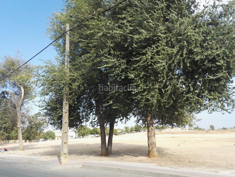 Foto 3effa0ac-b2ff-4450-a2f5-b14c14bd4d41. Finca rústica a Centro - Doña Mercedes Dos Hermanas