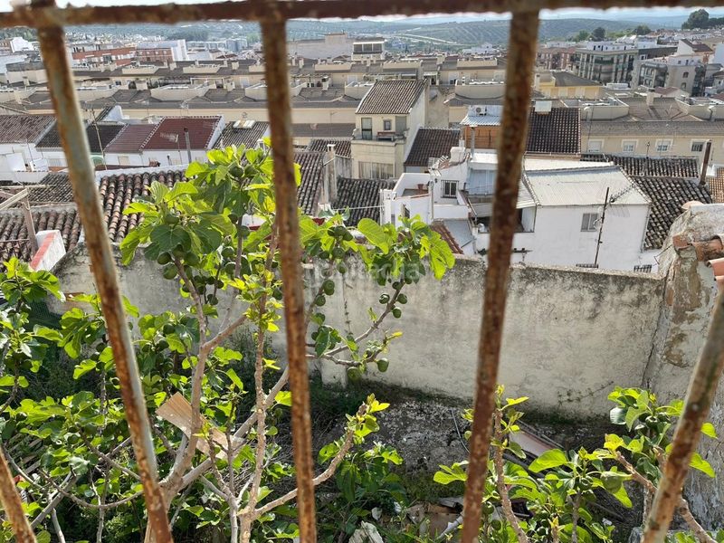 Foto 35f0e103-c58c-4411-8851-007b3925cd40. Xalet a Martos