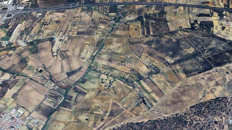 Foto 3dbe2283-8717-4092-b638-9383d9328e0b. Finca rústica a Bollullos Par del Condado