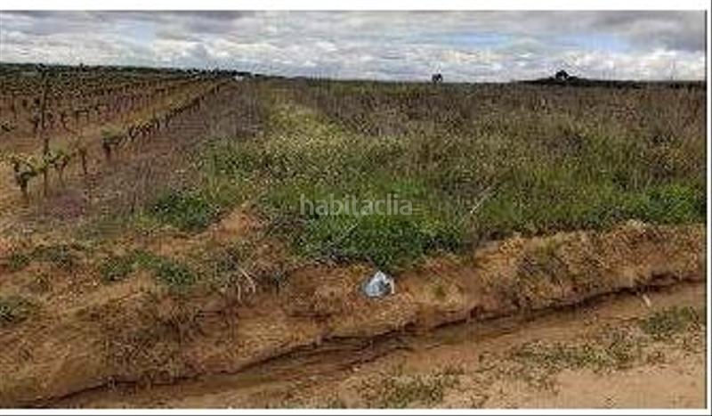 Foto 5636f84f-1142-4f27-88a0-9d4776f87aae. Finca rústica a Bollullos Par del Condado