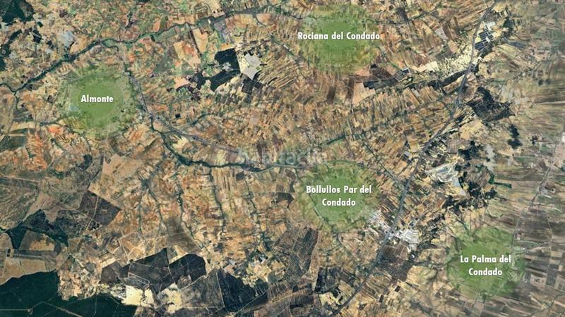 Foto ca3c10b4-dd1a-46e5-945f-e501fefad73d. Finca rústica a Bollullos Par del Condado