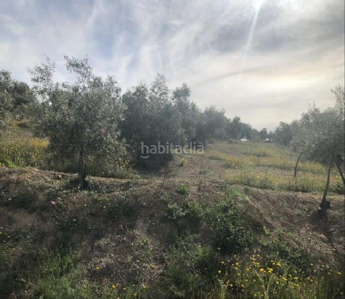 Foto 173f41e4-b98b-4edd-bb9d-26fd99bcda4a. Fondo rustico in Jauja Lucena