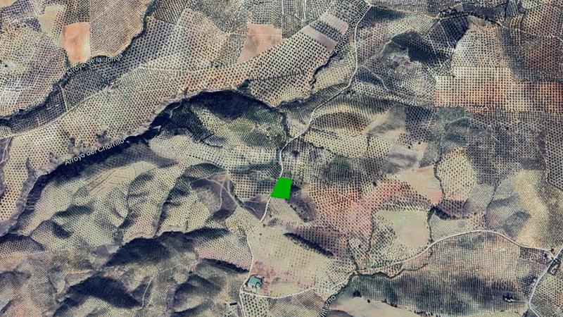 Foto 313d9af0-846a-4e61-91e4-56a9869b65ff. Fondo rustico in Jauja Lucena