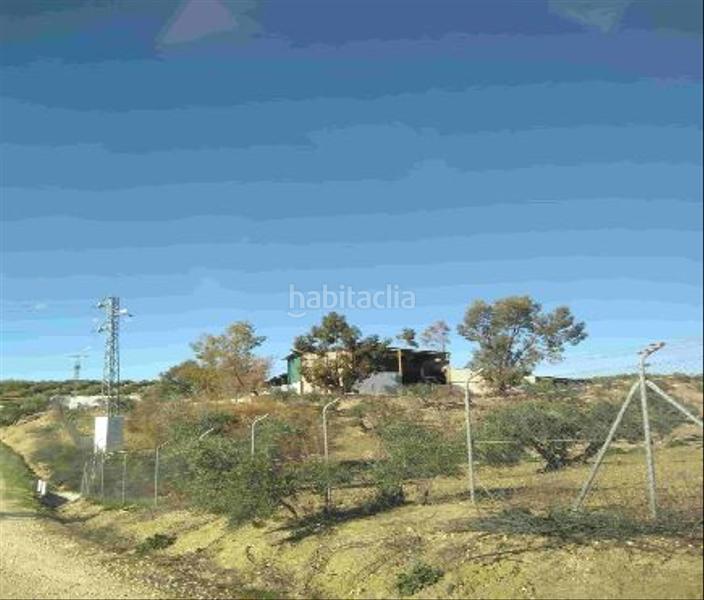 Foto 772465b1-b5da-488b-b831-a3ffa79012d6. Fondo rustico in Jauja Lucena