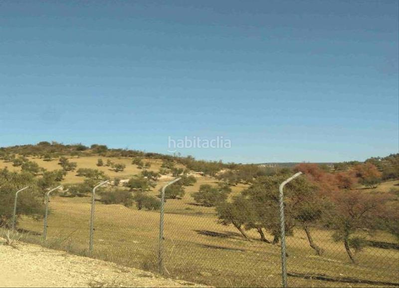 Foto 885b7b4a-a22b-4508-8b56-42894a262573. Fondo rustico in Jauja Lucena