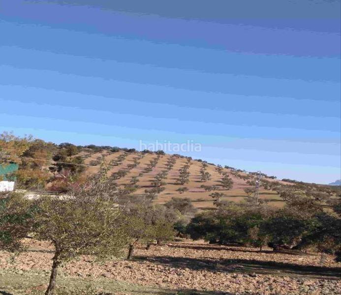 Foto 89012773-50d2-4347-b3eb-67addcf343e6. Fondo rustico in Jauja Lucena