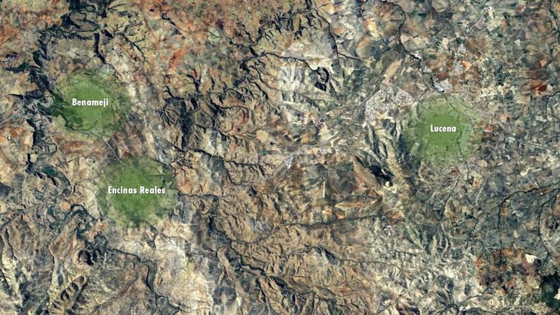 Foto c19cbf32-251b-4847-8fe1-6078476d548e. Fondo rustico in Jauja Lucena