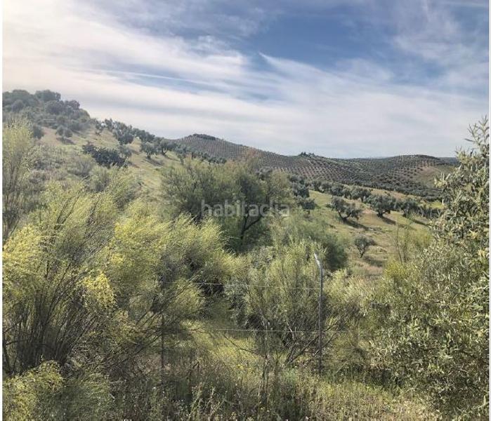 Foto e8cb518c-e672-410e-8919-c9fe9df2b599. Fondo rustico in Jauja Lucena