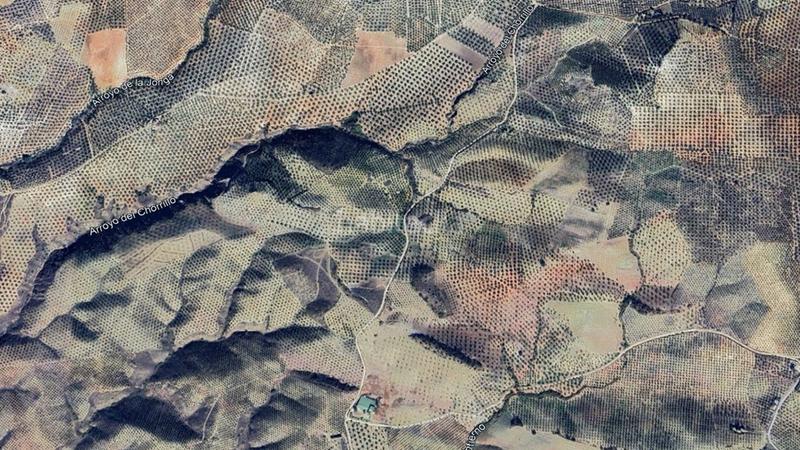 Foto f99271c3-dc2a-43df-9269-3f7014fc91bf. Fondo rustico in Jauja Lucena