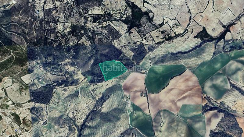 Foto c1225a00-2125-4ae6-a68e-ea1ad808fc94. Finca rústica a Osuna