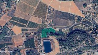 Propriété  Paraje sala. Solvia inmobiliaria  suelo rústico onda