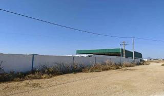 Nau industrial  Pl 505. Solvia inmobiliaria  nave industrial fuente álamo de murcia