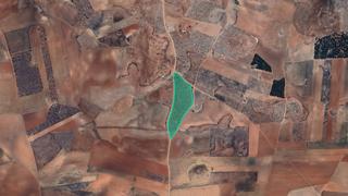 Finca rústica  Partida mondragó. Solvia inmobiliaria  suelo rústico alcázar de san juan