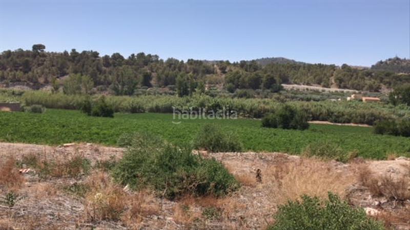 Foto cde6b6bf-ebbc-41a3-9457-3438ed53c531. Finca rústica solvia inmobiliaria suelo otros en Lorca