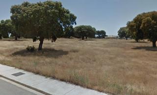 Finca rústica  Cl sector 3- urb. cuatro calzadas nº 211. Solvia inmobiliaria  suelo otros buenavista