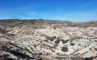 Finca rústica  Paraje la alquibla nº sn. Solvia inmobiliaria  terreno con edificación ojós