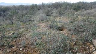 Finca rústica  Pl/ polígono. Solvia inmobiliaria  suelo otros sevilleja de la jara