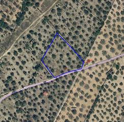 Finca rústica  Pl sect san rafael golf c/ poligono 9, parcela, nº 9 nº parcelas. Solvia inmobiliaria  suelo otros san rafael del río