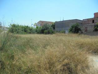 Finca rústica  Cl barranc esquina avenida del sur. Solvia inmobiliaria  suelo otros picassent