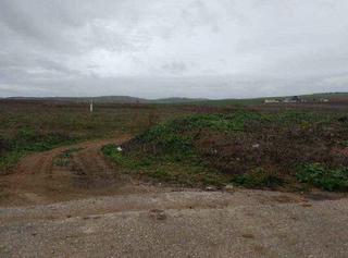 Propriété  Sector industrial el garrotal nº sn. Solvia inmobiliaria  suelo otros coronil el