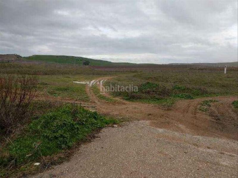 Foto 616114d7-a432-43d0-80c7-6d4ea4d71ebd. Fondo rustico in Coronil (El)