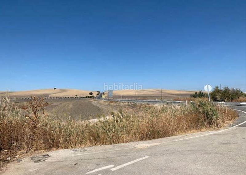 Foto c88e41fd-66ea-438a-97c5-0ecd42b393fa. Fondo rustico in Coronil (El)