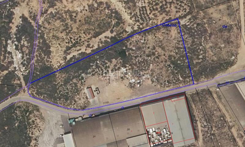 Foto 92c46416-393d-427d-a41f-90e51e4d61dc. Finca rústica a El Puntal Murcia