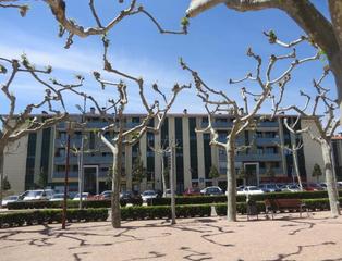 Local commercial  Paseo cosme i damià. Solvia inmobiliaria  locales sils